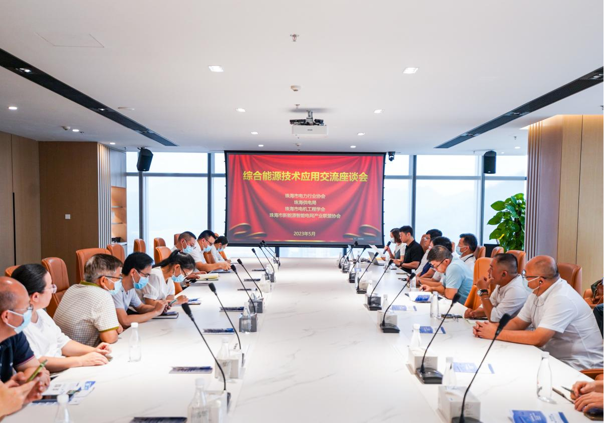 学会举办2023年综合能源技术应用交流座谈会